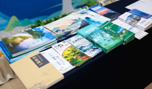 清爽一夏 浪漫廣西 廣西在長春舉辦夏季旅游產品對接會