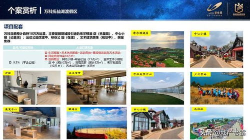 房地產(chǎn)進(jìn)入性調(diào)研 2021撫仙湖市場(chǎng)報(bào)告