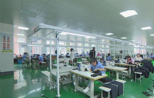 照金村社區服裝廠扎實做好穩就業工作丨耀州故事之脫貧故事 193